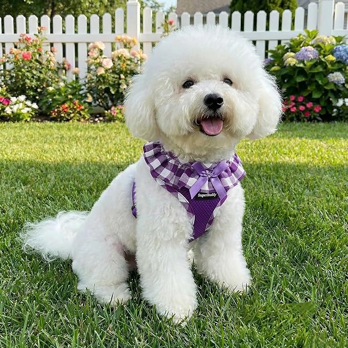SuperBuddy Upgraded Soft Mesh Dog Harness, Super Breathable Lightweight Pet Harnesses for Puppy Dogs Outdoor Walking, Purple Dog Harness -Small