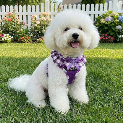 SuperBuddy Upgraded Soft Mesh Dog Harness, Super Breathable Lightweight Pet Harnesses for Puppy Dogs Outdoor Walking, Purple Dog Harness -Large