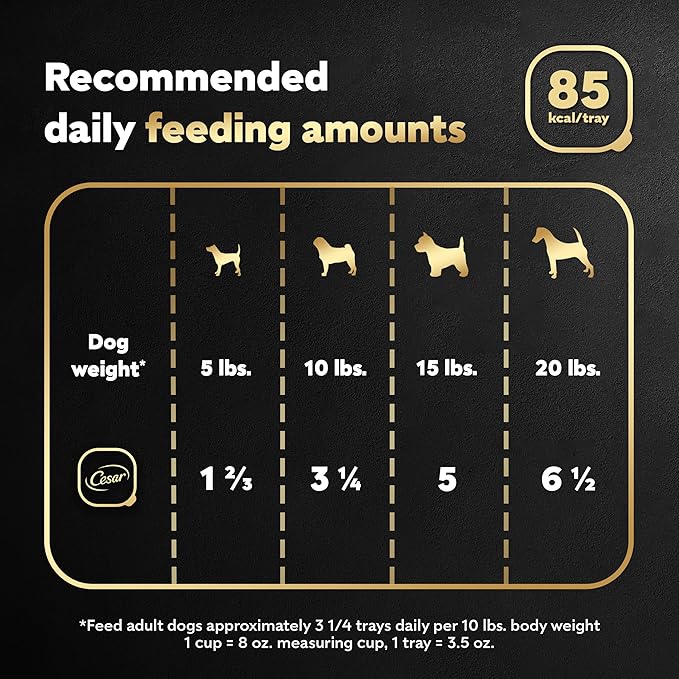 Cesar Filets in Gravy, Adult Wet Dog Food, Rotisserie Chicken Flavor, Wet Food for Dogs, 3.5 oz Trays, 24 Count