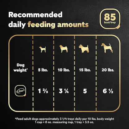 Cesar Filets in Gravy, Adult Wet Dog Food, Rotisserie Chicken Flavor, Wet Food for Dogs, 3.5 oz Trays, 24 Count (Pack of 2)