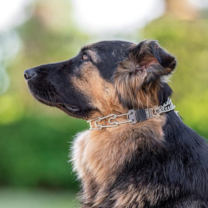 Herm Sprenger Prong Collar with Quick Release ClicLock Buckle for Small Medium Dogs Stainless Steel No Pull Collar | Pinch Collar for Dog Training Made in Germany (16in x 2.25mm)