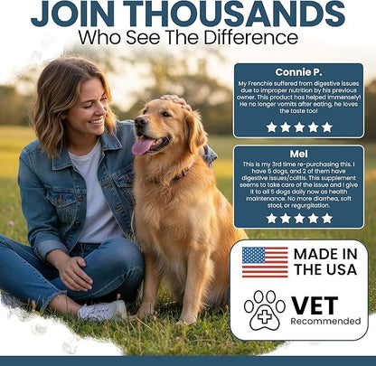 Digestive Enzymes with Probiotics for Dogs - 240 Soft Chews - Supports Healthy Digestive Tract, Helps Nutrient Absorption and Food Digestion - Dog Fiber and Gut Health Supplement (2 Packs of 120)