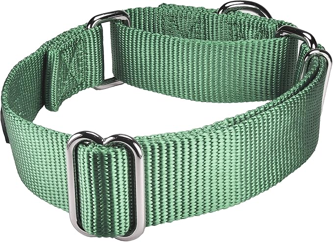 Mikivery Martingale Dog Collar Nylon Adjustable and Safety Training Colourful Comfortable Metal Buckle Pet Collars for Small Medium and Large Dogs(Emerald,M)
