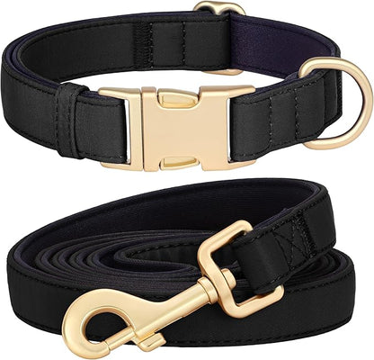 Didog Colorful Soft Padded Nylon Dog Collar & 5FT Dog Leash Set for Medium Dogs
