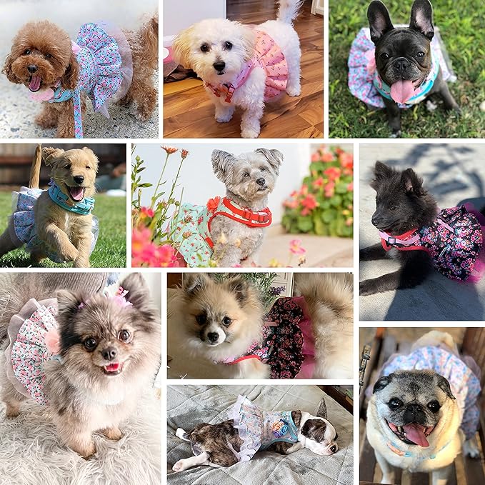 Blueberry Pet Soft & Comfy Floral No Pull Dog Harness Dress, Small Dog Harness, X-Small, Adjustable, Lightweight, Pastel Blue