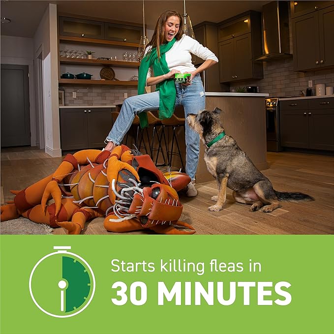 Capstar for Dogs (nitenpyram), Fast-Acting Oral Flea Treatment for Dogs Over 25+ lbs, Vet-Recommended Flea Medication Tablets Start Killing in 30 Minutes, 12 Doses (Includes Two 6-Count Boxes)