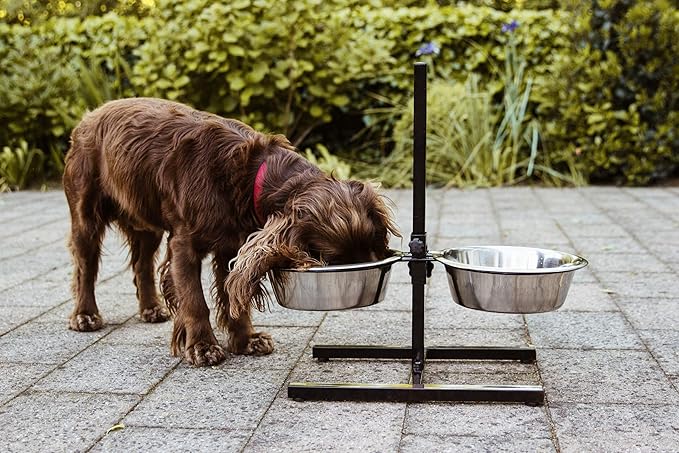 Nobby Dog-foodbar with 2 Bowls, 1.75 Litre, 21 cm