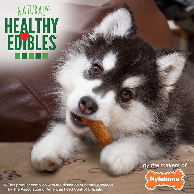 Nylabone Healthy Edibles Natural Puppy Chews Long Lasting Treats for Puppies, Turkey & Sweet Potato Flavor, X-Small/Petite (4 Count) (Pack of 2)