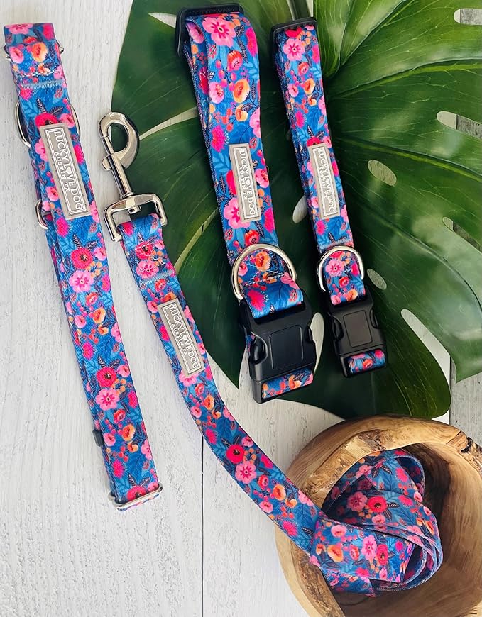Lucky Love Dog Martingale Dog Collar - Adjustable, No-Slip, Durable, & Soft Webbing Collar for Male and Female Dogs Ideal for Training & Walking - Zuzu, Small