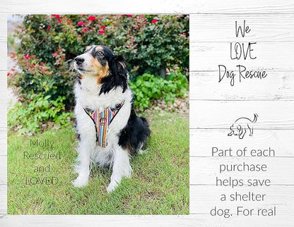Lucky Love Dog No Pull Dog Harness, Adjustable and Easy to Walk, Cute Patterned Harness for Large Male & Female Dogs - Ladybird, Large