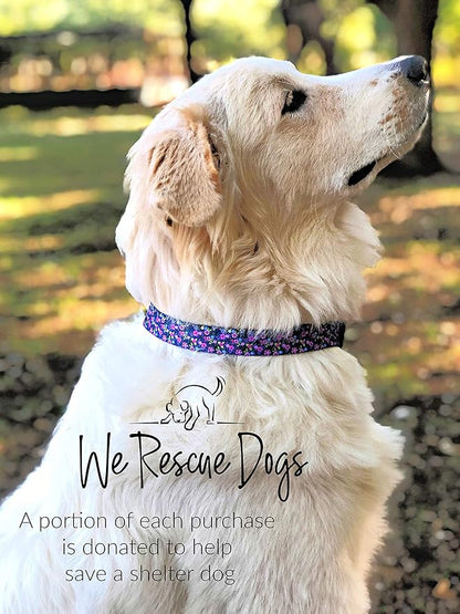 Lucky Love Dog, Matching Dog Collar & Leash Set for Female Dogs, Soft, Adjustable, Safe for Training and Walking, Black & Purple Floral Print, Primrose Combo, Small