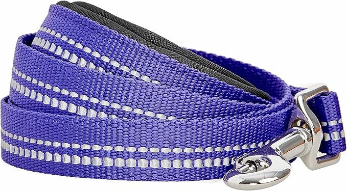 Blueberry Pet 3M Reflective Pastel Color Dog Leash with Soft & Comfortable Handle, 5 ft x 5/8", Violet, Small, Leashes for Dogs