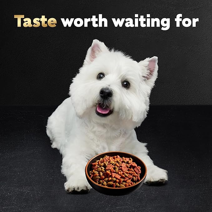 Cesar Small Breed Dry Dog Food for Small Dogs Rotisserie Chicken Flavor and Spring Vegetables Garnish, 2.7 lb Bag