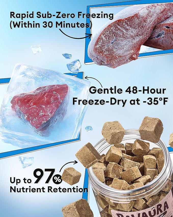 Freeze-Dried Beef Liver Treats for Dogs & Cats, Single Ingredient, High-Protein, Grain-Free Natural Pet Snack, Resealable Tub, Ideal for Training or Meal Topper, 3.53oz