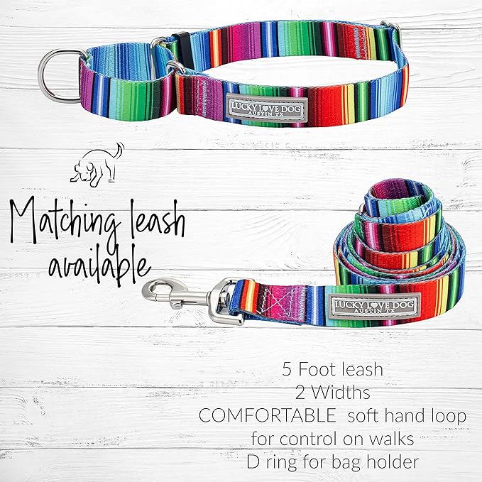 Lucky Love Dog Martingale Dog Collar - Adjustable, No-Slip, Durable, & Soft Webbing Collar for Male and Female Dogs Ideal for Training & Walking - Nacho, Medium
