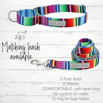 Lucky Love Dog Martingale Dog Collar - Adjustable, No-Slip, Durable, & Soft Webbing Collar for Male and Female Dogs Ideal for Training & Walking - Nacho, Small