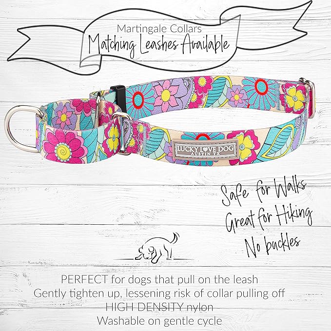 Lucky Love Dog Martingale Collar and Leash Set, Premium No Slip Martingale Collar for Dogs, Great for Whippets, Greyhounds, and More (Caroline, Small - Combo)