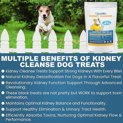 Petite Size Beef Flavor Kidney Cleanse Dog Treats 20 Oz - Kidney Support Formula for Toxin Elimination - Low Protein & Phosphorus Diet Snacks - Ideal for Kidney Wellness