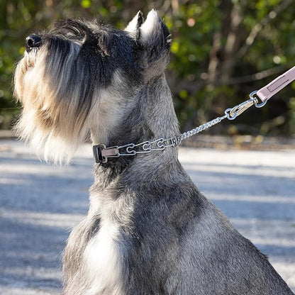 Herm Sprenger Chrome Plated Steel Dog Collar with Quick Release ClicLock Buckle and Biothane Insert Training Collar for Dogs Made in Germany (Pastel Purple, 16in x 2.25mm(Neck Size up to 13-14in))