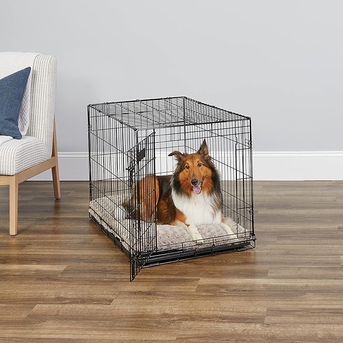 MidWest Homes for Pets 36-Inch iCrate for Medium-Large Breeds, 41-70 lbs, Single Door Folding Dog Crate with Divider Panel, Leak-Proof Tray & Secure Latches, Portable, Durable & Easy to Assemble