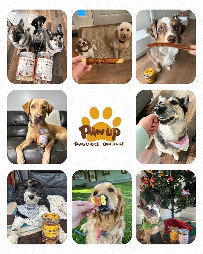 PAWUP Sweet Potatoes Strips Dog Treats - Single Ingredient Soft Chews w/Taurine, Chewy Sticks for Small & Medium Dogs, Easy to Digest, 12.5oz