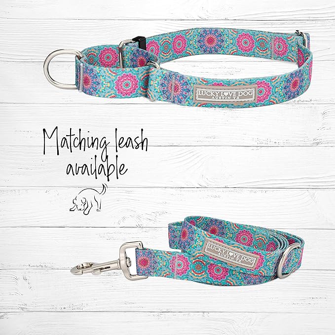 Lucky Love Dog Martingale Dog Collar & Leash - Adjustable, No-Slip, Durable, Comfortable, Soft Webbing, & Stylish Patterned Collar & Leash Set for Male and Female Dogs - Clara Combo, Small
