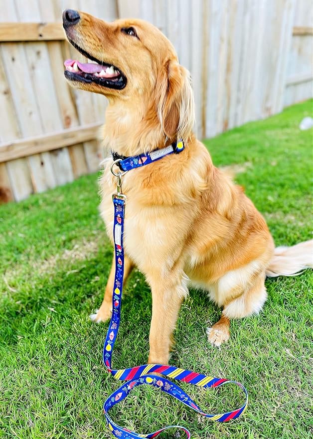 Lucky Love Dog - Adjustable Dog Collar with Easy Click Buckle for Large Ones, Durable, & Comfortable for Male & Female Dogs, Pet Collar for Puppies & Adult Dogs - Mackey, Large