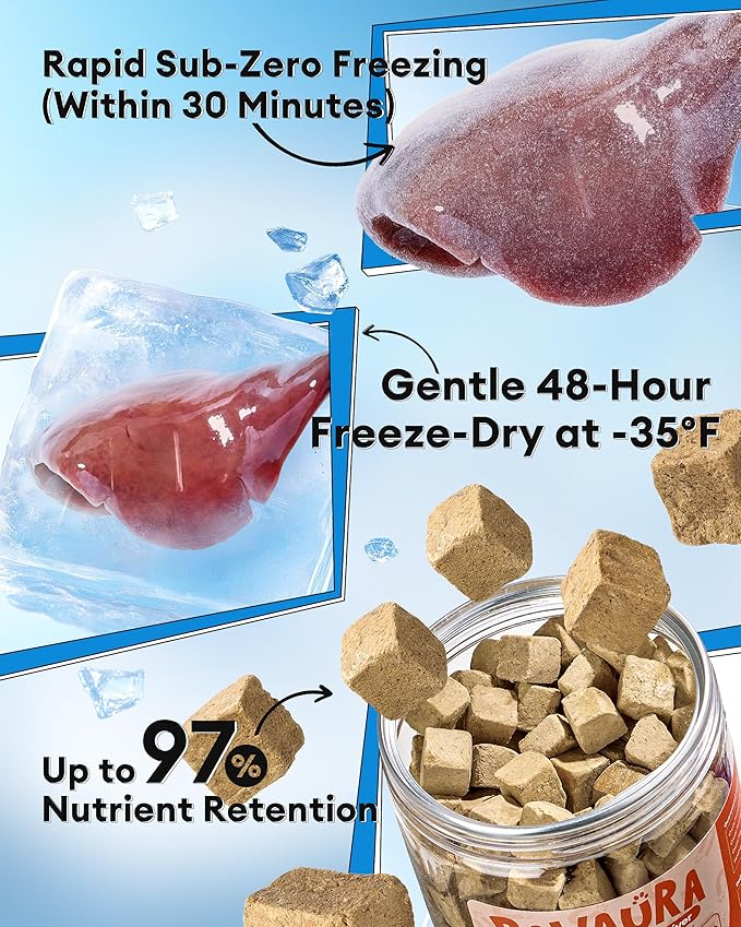 Freeze-Dried Chicken Liver Treats for Dogs & Cats, Single Ingredient, High-Protein, Grain-Free, All-Natural Pet Snack, Resealable Tub, Great for Training or Meal Topper, 3.53oz