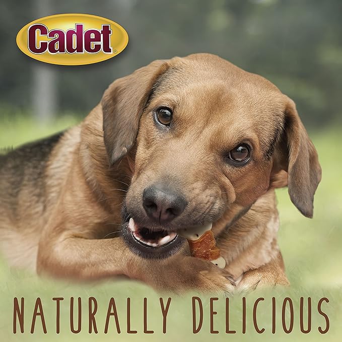 Cadet Gourmet Chicken Wrapped Biscuit Dog Treats,Training Treats for Small and Large Dogs,Inspected & Tested in USA,14 oz.,(Pack of 2)