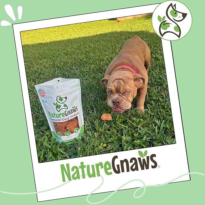 Nature Gnaws USA Turkey Tenders (1Lb) - Delicious Grain-Free Dog Treats for Small, Medium & Large Breeds - Natural Jerky Chews for Dogs.