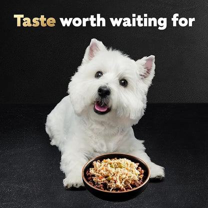 Cesar Wholesome Bowls Adult Wet Dog Food, Chicken, Carrots, Barley & Green Beans Recipe, Wet Food for Dogs, 3 Oz. Bowls, 10 Count