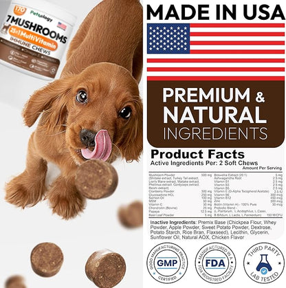 (2 Pack) Turkey Tail Mushroom for Dogs - 340 Chews - Lion’s Mane - Shiitake - Reishi - Buddy Immune Support Guard - Mushroom Supplement for Dogs with Glucosamine, Health Vitamins Multivitamin
