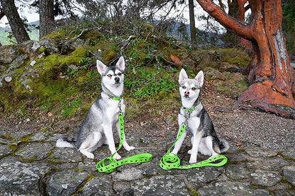 EcoBark Dog Leash - Soft & Reflective Comfort Training Leashes with Padded Handle - Strong Durable Heavy Duty - Training and Pulling for Small, Medium or Large Dogs (Green)