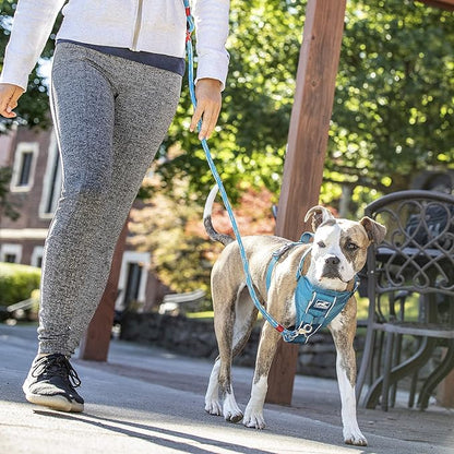 Kurgo Tru-Fit Smart Dog Walking Harness - Comfortable Fit - Adjustable Harness - Reflective Pet Wear - Quick Strap Release - Daily Walk Accessory - Includes Seat Belt Loop - Blue - Small