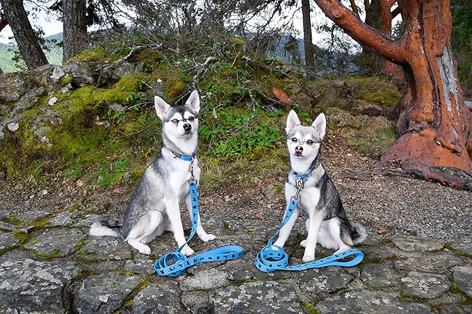 EcoBark Dog Leash - Soft & Reflective Comfort Leashes with Padded Handle - Strong Durable Heavy Duty - Training and Pulling for Small, Medium or Large Dogs (Sky Blue)