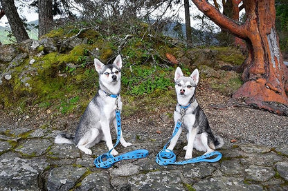 EcoBark Dog Leash - Soft & Reflective Comfort Leashes with Padded Handle - Strong Durable Heavy Duty - Training and Pulling for Small, Medium or Large Dogs (Sky Blue)