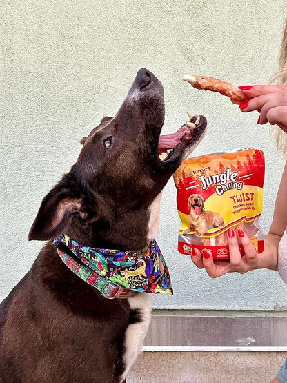 Jungle Calling Dog Treats, Chicken Wrapped Rawhide Sticks for Dogs, Delicious and Nutritious Training Reward Treats and Dog Chews Snacks, 6 oz