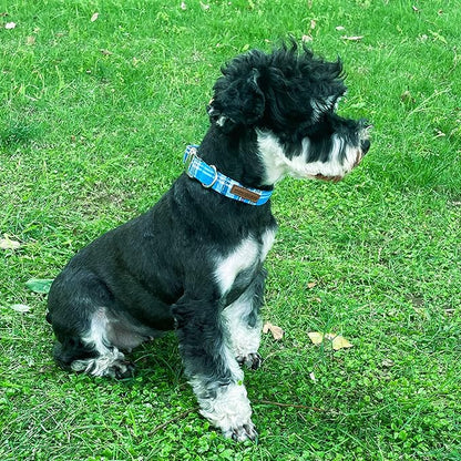 Unique style paws Dog Collar Metal Buckle Blue Plaid Collar Gift Durable Cute Collar for Small Medium Large Boys Girls Dogs
