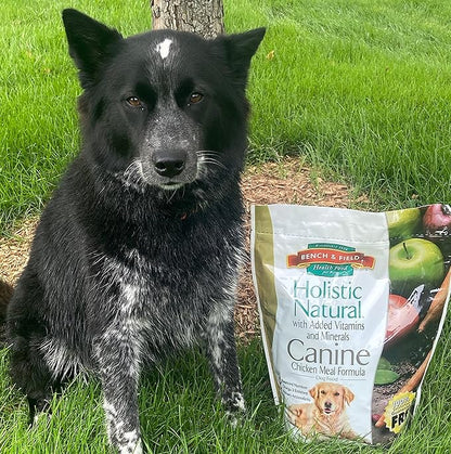 Bench & Field Holistic Natural Adult Dry Dog Food, Chicken Meal and Brown Rice Recipe 6.6 lb Bags (Pack of 4)