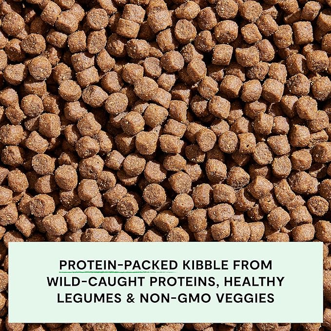 Open Farm, Grain-Free Dry Dog Food, Complete & Balanced Kibble, Sustainably & Ethically Sourced Ingredients, Non-GMO Veggies & Superfoods, Catch-of-The-Season Whitefish Recipe, 22lb Bag