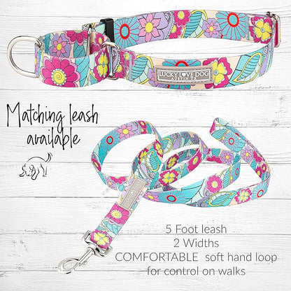Lucky Love Dog Martingale Collar, Premium No Slip Martingale Collar for Large Dogs, Great for Whippets, Greyhounds, and More (Caroline, Large)