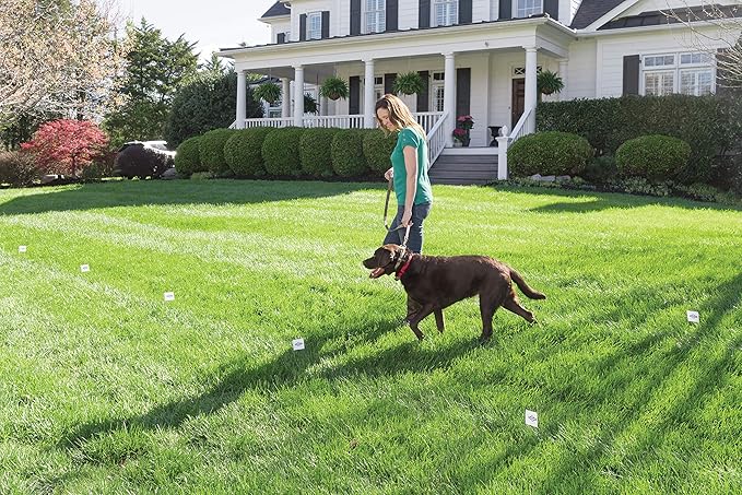 PetSafe 50 Boundary Flags - Extra Boundary Flags for In-Ground & Wireless Fence Training - Reusable Yard Markers - Visual Aid Flags for Pet Containment - Outdoor Pet Training Accessory