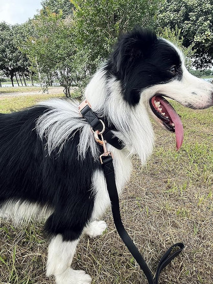 Dog Collar and Leash Set.Soft and Easy to Clean Vegan Leather with Rose Gold Metal Buckle for Small Medium Large Dogs (Black, S(12.2"-16.9"))