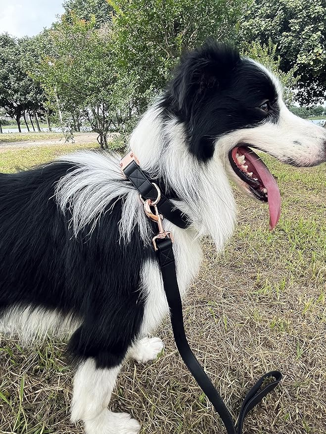 Dog Collar and Leash Set.Soft and Easy to Clean Vegan Leather with Rose Gold Metal Buckle for Small Medium Large Dogs (Black, M(13.8"-19.7"))