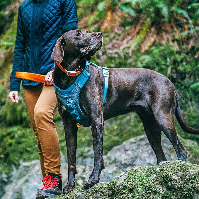 Kurgo Journey Air Dog Harness - Secure Fit for Active Dogs - Padded Chest - Lightweight Ripstop Fabric - Breathable Mesh - Reflective Trim - Back Assist Handle - Coastal Blue - Small