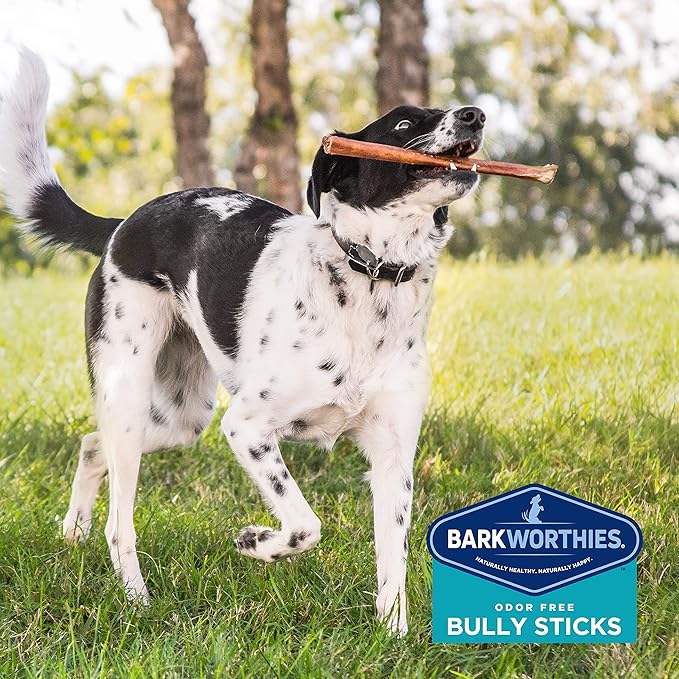 Barkworthies Odor-Free 12 Inch Bully Sticks - 3 Count (Pack of 1) - Protein-Packed, Easily Digestible, All-Natural Rawhide Alternative, Supports Dental Health