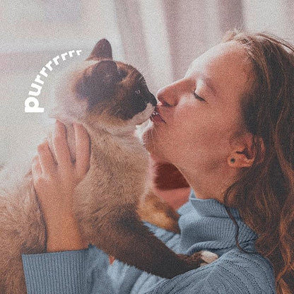 ADAMS Plus Flea & Tick Dog and Cat Spray, Kills Fleas & Ticks, Repels Mosquitoes, Prevents Flea Infestations for up to 2 Months, Flea Treatment for Dogs, Cats, Puppies, & Kittens, 8 Fl oz