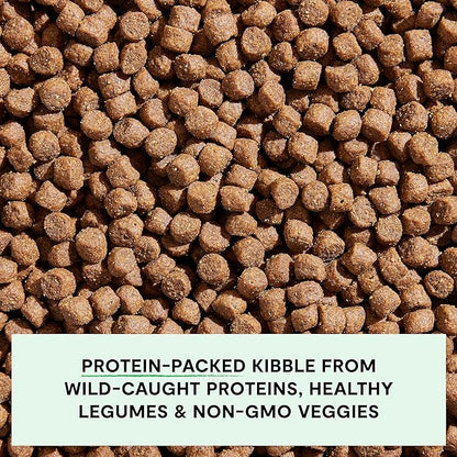 Open Farm, Grain-Free Dry Dog Food, Complete & Balanced Kibble, Sustainably & Ethically Sourced Ingredients, Non-GMO Veggies & Superfoods to Support Overall Health, Wild-Caught Salmon Recipe, 22lb Bag