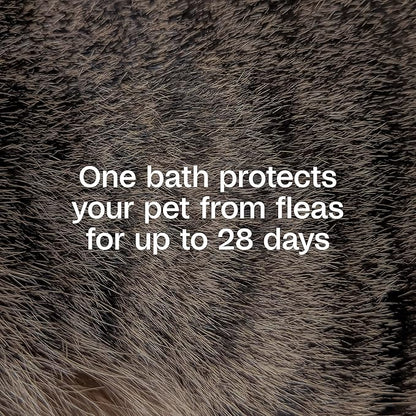 ADAMS Plus Flea & Tick Shampoo with Precor for Dogs, Cats, Puppies & Kittens, Flea Shampoo to Treat Flea Infestations, Kills Ticks, Fleas, Flea Eggs & Lice, Cleans and Conditions Coat, 24 Ounces
