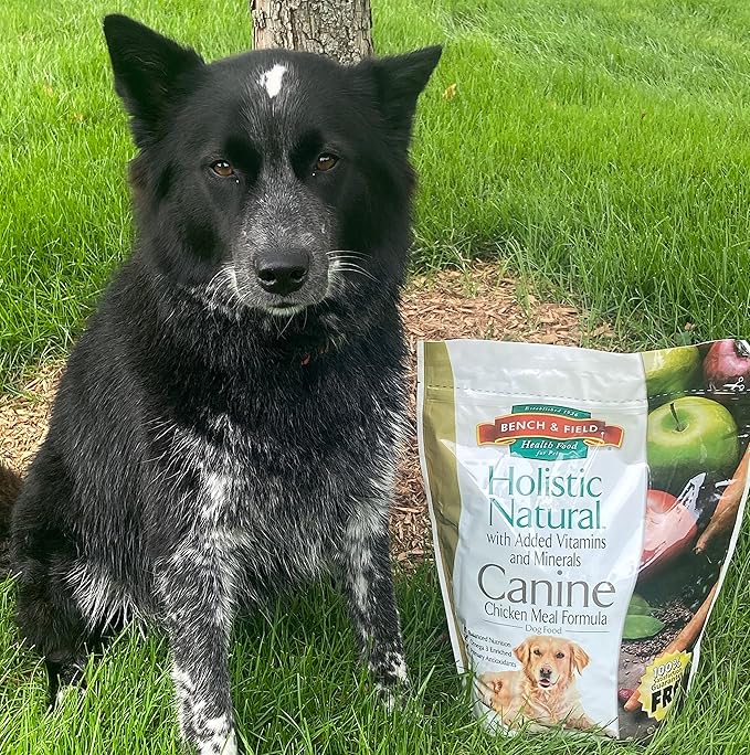 Bench & Field Holistic Natural Adult Dry Dog Food, Chicken Meal and Brown Rice Recipe 6.6 lb Bag (Pack of 1)